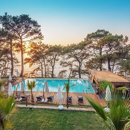 Lov Faralya Karaagac (Fethiye)