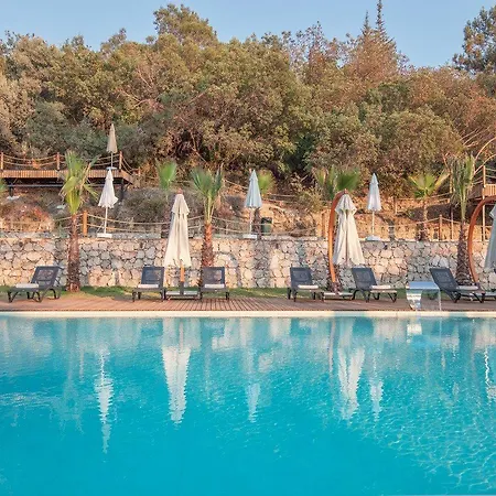Lov Faralya Karaagac (Fethiye)